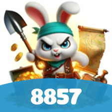 8857 visual