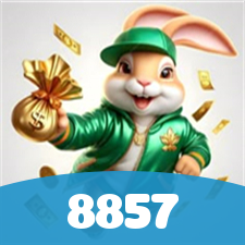 8857 visual