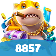 8857 visual