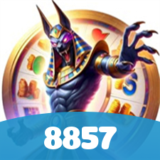 8857 visual