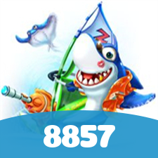 8857 visual