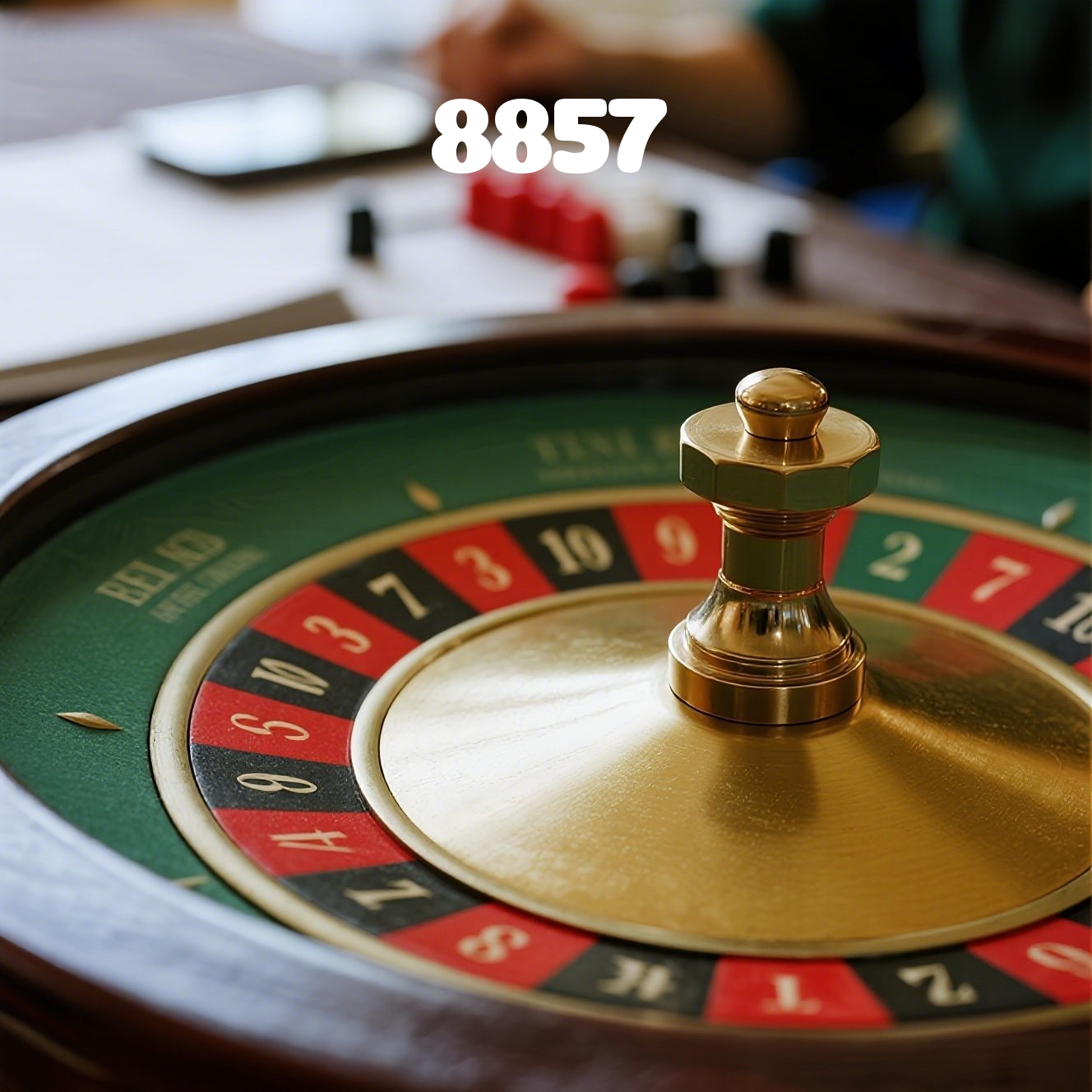 8857 visual