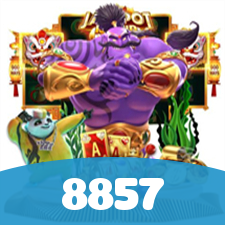8857 visual