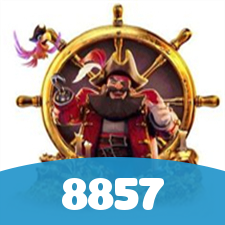 8857 visual