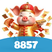 8857 visual