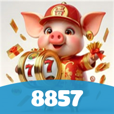 8857 visual
