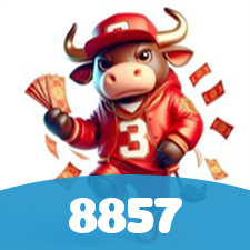 8857 visual