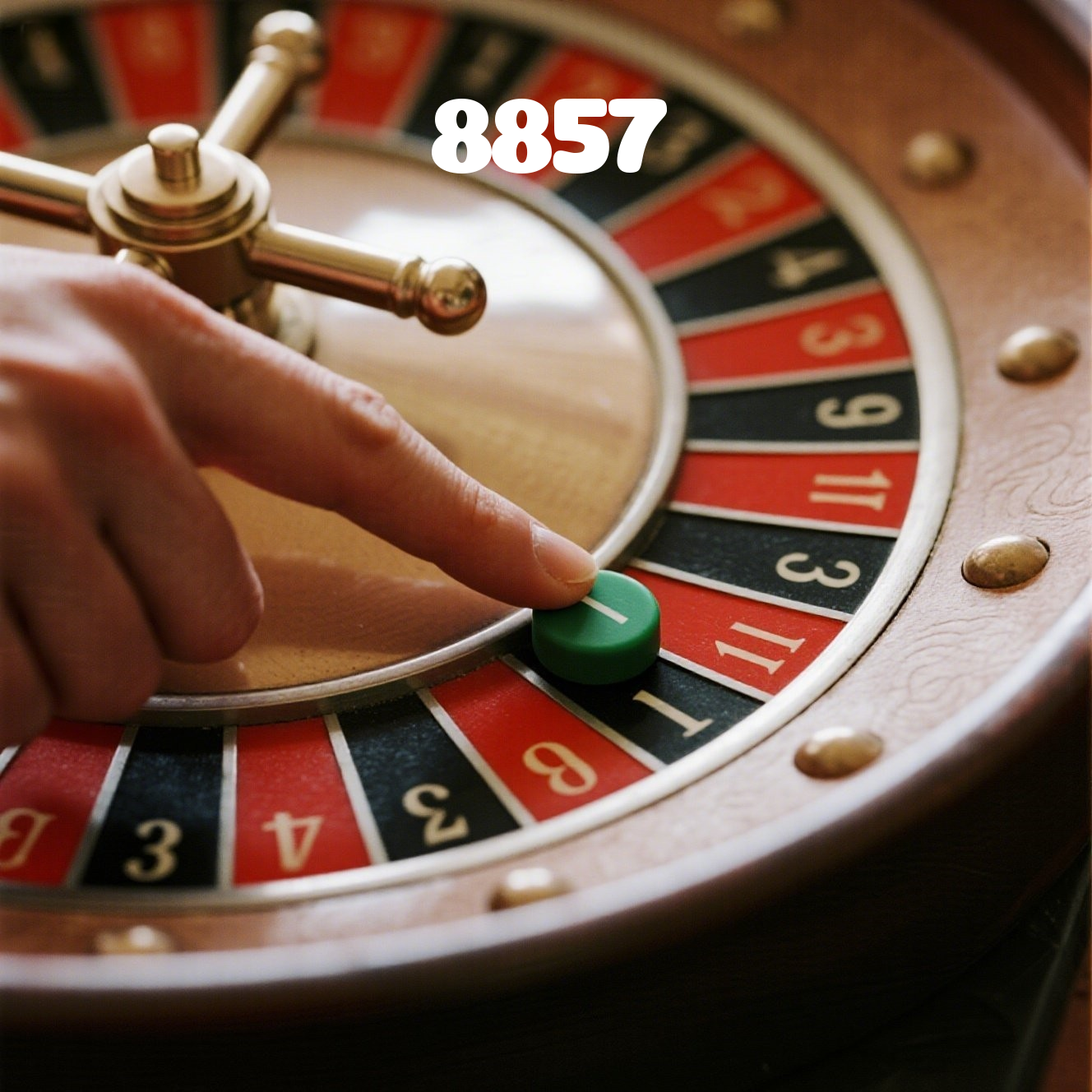 8857 visual