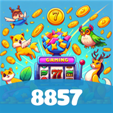 8857 visual