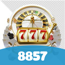 8857 visual