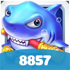 8857 visual