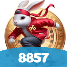 8857 visual